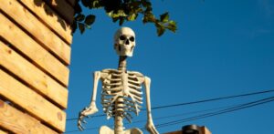 Personal Anecdotes: My Journey to Finding the Perfect 12-Foot Skeleton Deal