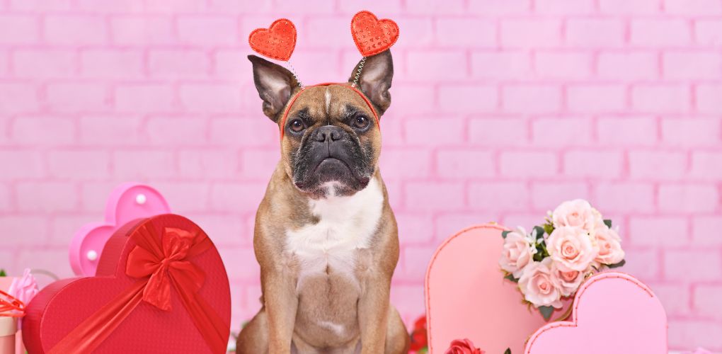 How to Save Big on Valentine's Day Gifts Without Sacrificing Thoughtfulness